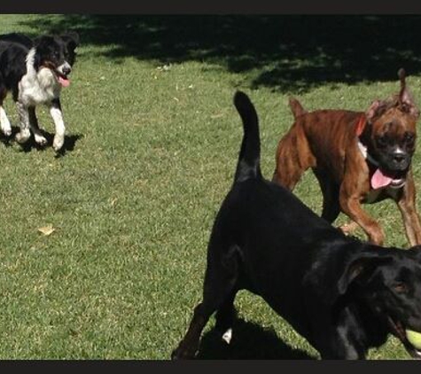 Ameripet Hotel & Pet Center - Idaho Falls, ID