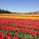 Tulip Town - Garden Centers