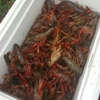 D & T Crawfish gallery