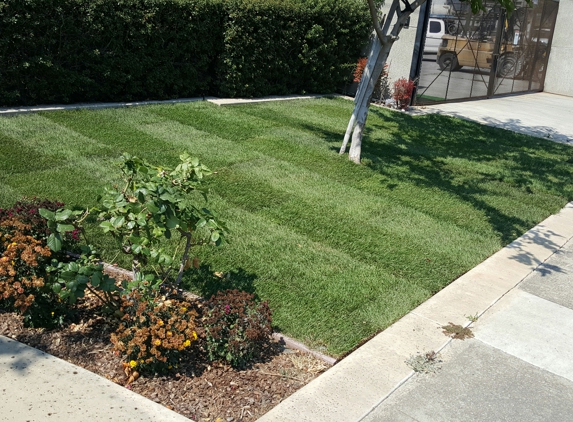 A&L Landscapes - Richmond, CA