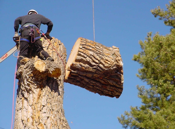 Arbor Tree Care - Harrisburg, PA