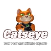 Catseye Pest Control - Nashua, NH gallery