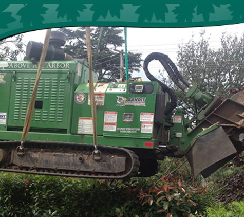 Above All Arbor - Colo Vale, NSW. Your Work Will Be Done In An Efficient And Reliable Manner