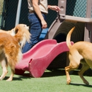 First Class Pet Lodge & Doggie Day Camp - Kennels