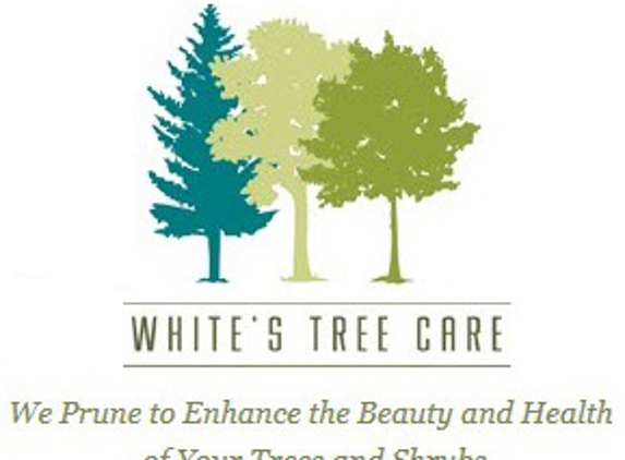 White's Tree Care & Pruning