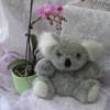 Koala's Boutique gallery