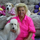 Judy's Poodle Parlor & Kennels