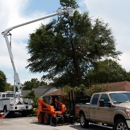 Cutchins Tree & Disaster Service - Tree Service