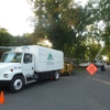 Complete Tree Care & Service gallery