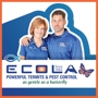 Ecola Termite and Pest Control Services