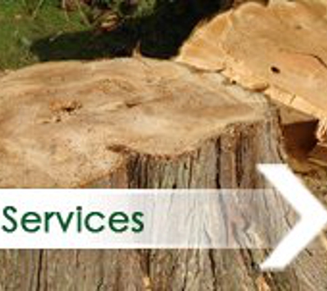 Tom's Tree Service - Wenonah, NJ