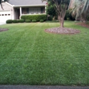 M&M Lawncare - Landscaping & Lawn Services