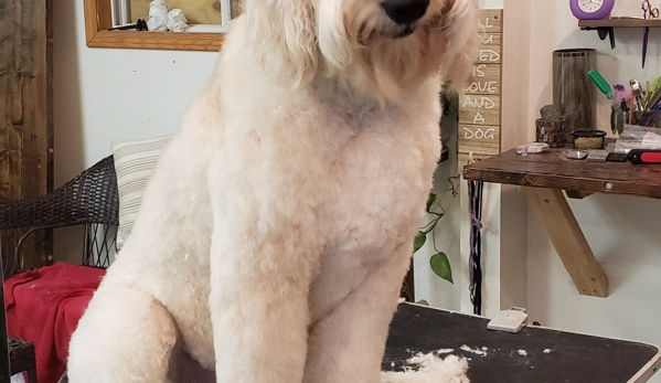 L.C.S. Grooming - Iowa City, IA