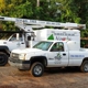 Niwaki Tree & Shrub Care