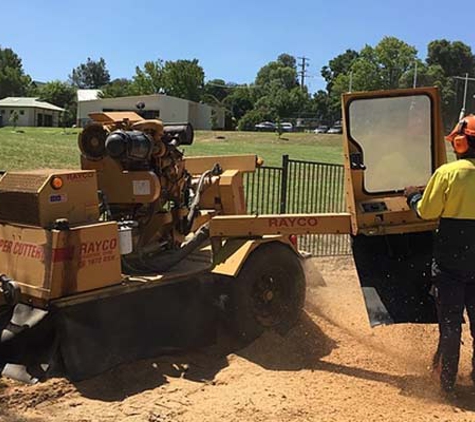 Curtis Tree Lopping Specialists