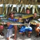 Johnny Maddox Charters Sportfishing Adventures