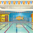 Goldfish Swim School - Glen Ellyn - Swimming Instruction