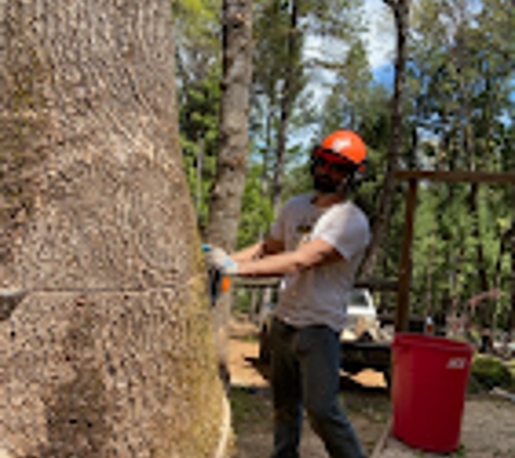 Crown Tree Service - Nevada City, CA