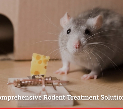 Sterling Pest Control Pty Ltd - Maroota, NSW. Comprehensive Rodent Treatment Solutions