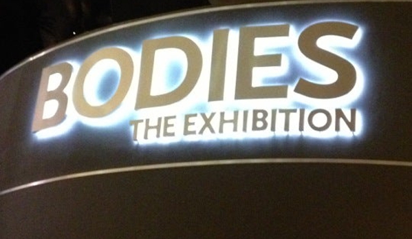 Bodies The Exhibition - Las Vegas, NV