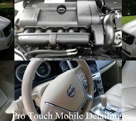 Pro Touch Mobile Detailing - Virginia Beach, VA