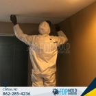 FDP Mold Remediation of Clifton