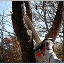 Aubrey's Tree Service & Landscaping - Stump Removal & Grinding