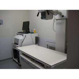 Colyton Veterinary Hospital - Oxley Park, NSW