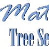 Matthews Tree Service gallery