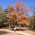 Panola Mountain State Park