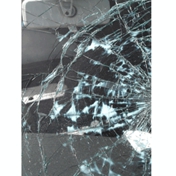 Gallery Image Number 4