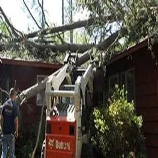 Childress Complete Tree Service