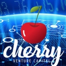 Cherry Venture Capital - Management Consultants