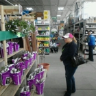 Menards