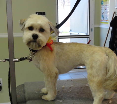 Tara's Pet Salon - Schenectady, NY