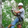 McBride Tree Service
