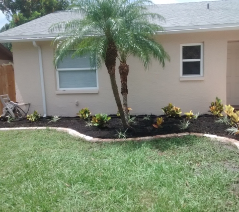 Dave's tree service - New Port Richey, FL