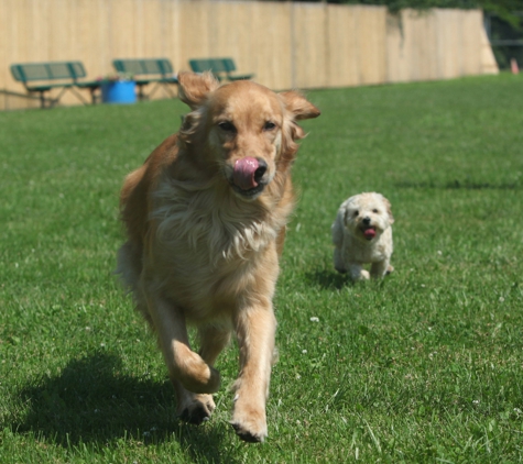 Best Friends Pet Care - Lincolnshire, IL