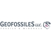 Geofossiles Rock Shop gallery