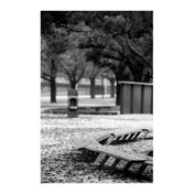 Gallery Image Number 1