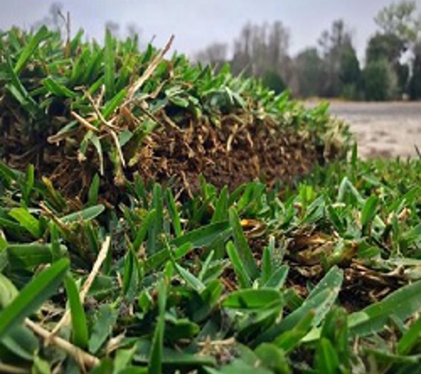 Circle T Sod Farms Inc - Homosassa Springs, FL