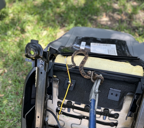 The Restoration Attics - Houston, TX. Snake Removal from inside of car seat