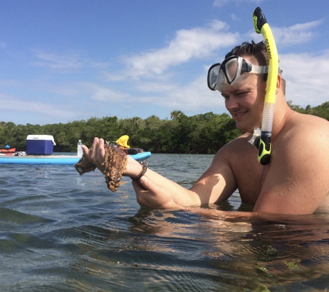 Paddleboard Adventures - Englewood, FL