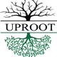 Up Root Inc
