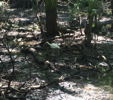 Little Manatee River State Park - Wimauma, FL