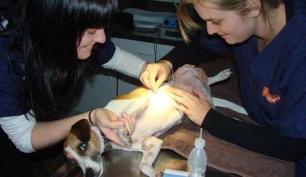 Kirrawee Veterinary Hospital - Kirrawee, NSW