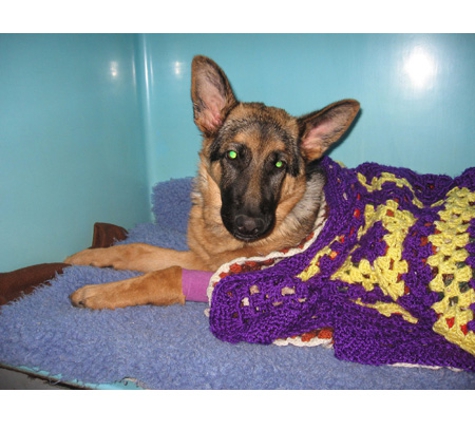 Petstock Vet Hospital - Altona North - Altona North, VIC