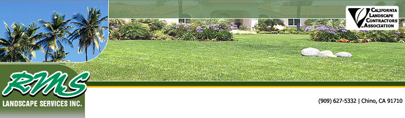 R M S Landscape Services Inc 5186, Complete Landscaping Services Inc