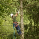 Greentrees Inc. - Arborists