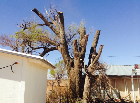 Tomcat's Tree Trimming - Wolfforth, TX